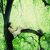 ஐ Oo°‘ Jane Austen in love ‘°oO ஐ
