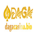 ÐÁ GÀ CASINO