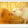 Finicat