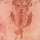 angelus novus