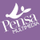 Pensa Multimedia