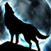 SheWolf