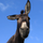 Bartleby