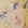 Dolceluna (trasferita su Goodreads)