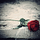 _P3n3lope_