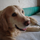 Nerys _