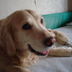 Nerys _