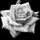 Cer8