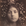 Inanna Morganna The Hungry Wolf