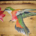 colibrì