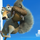 Scrat