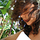 LauraLL