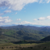 Salvo
