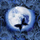 Blue butterfly