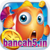 bancah5in