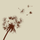 Dandelion in the Spring