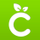Cricut Design Space