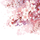 Yuko