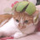 gigi貓