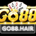 Go88 Hair
