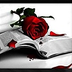 Mrs. NY* Mrs. New York (SOLO libri di carta)