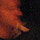 Niek