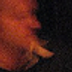 Niek