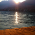 Aglaia68