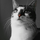 Micòl