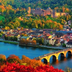 nEcKaR★rio★MaSkA