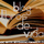 diana_LDV