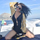 ariella_iorio