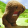 Elion