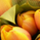 brightyellowtulip