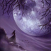 Arwen