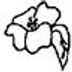La Primula (Luzzogno) 