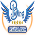 Bwing Ink