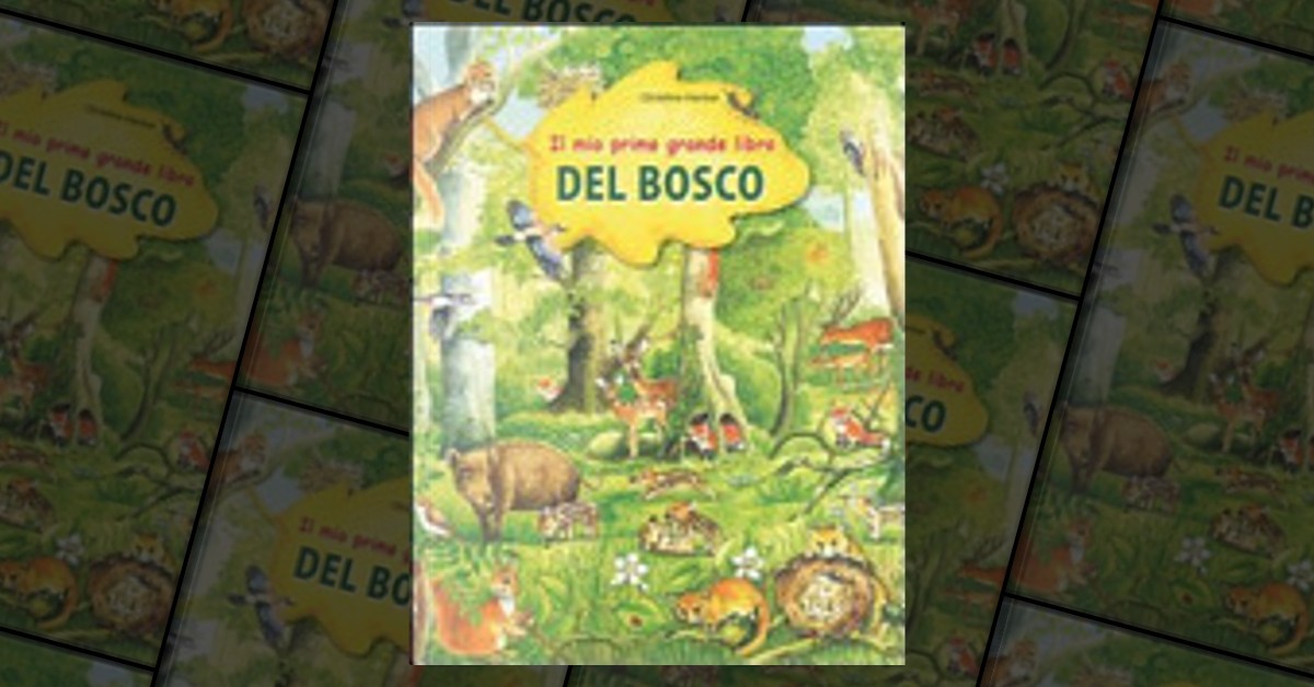 Il mio primo grande libro del bosco by Christine Henkel, IdeeAli