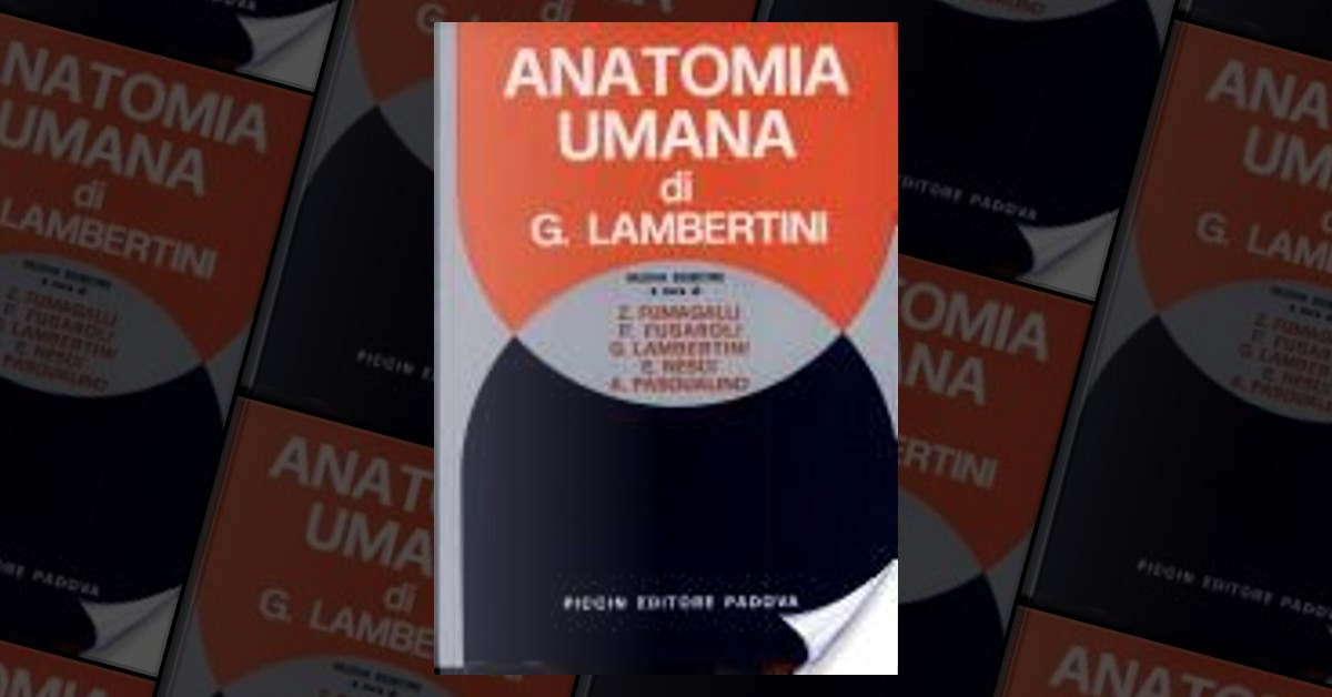 Anatomia umana by Gastone Lambertini, Piccin-Nuova Libraria, Other - Anobii