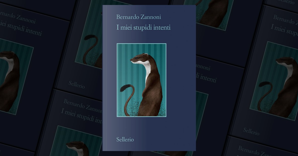 I miei stupidi intenti di Bernardo Zannoni, Sellerio Editore Palermo,  Paperback - Anobii
