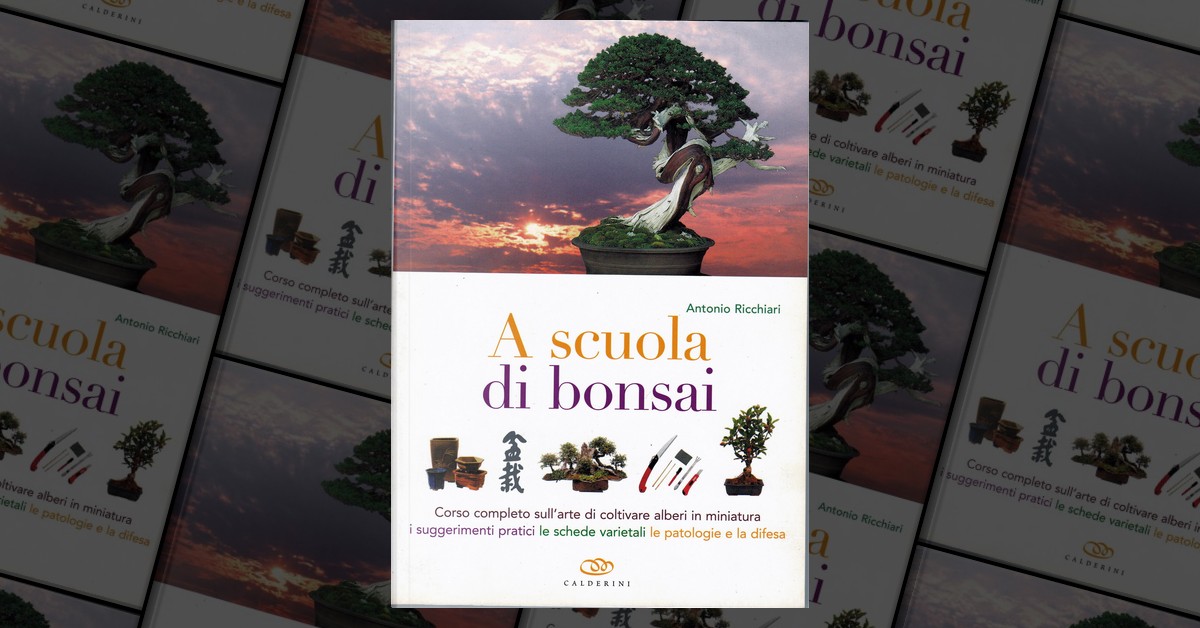 coltivare bonsai - Schede Bonsai - coltivazione dei bonsai